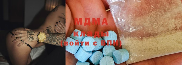 гидра Тайга