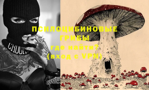ГАЛЛЮЦИНОГЕННЫЕ ГРИБЫ Беломорск