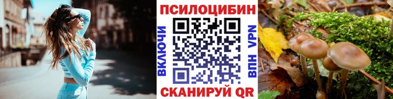 Псилоцибиновые грибы Psilocybe  Верещагино 